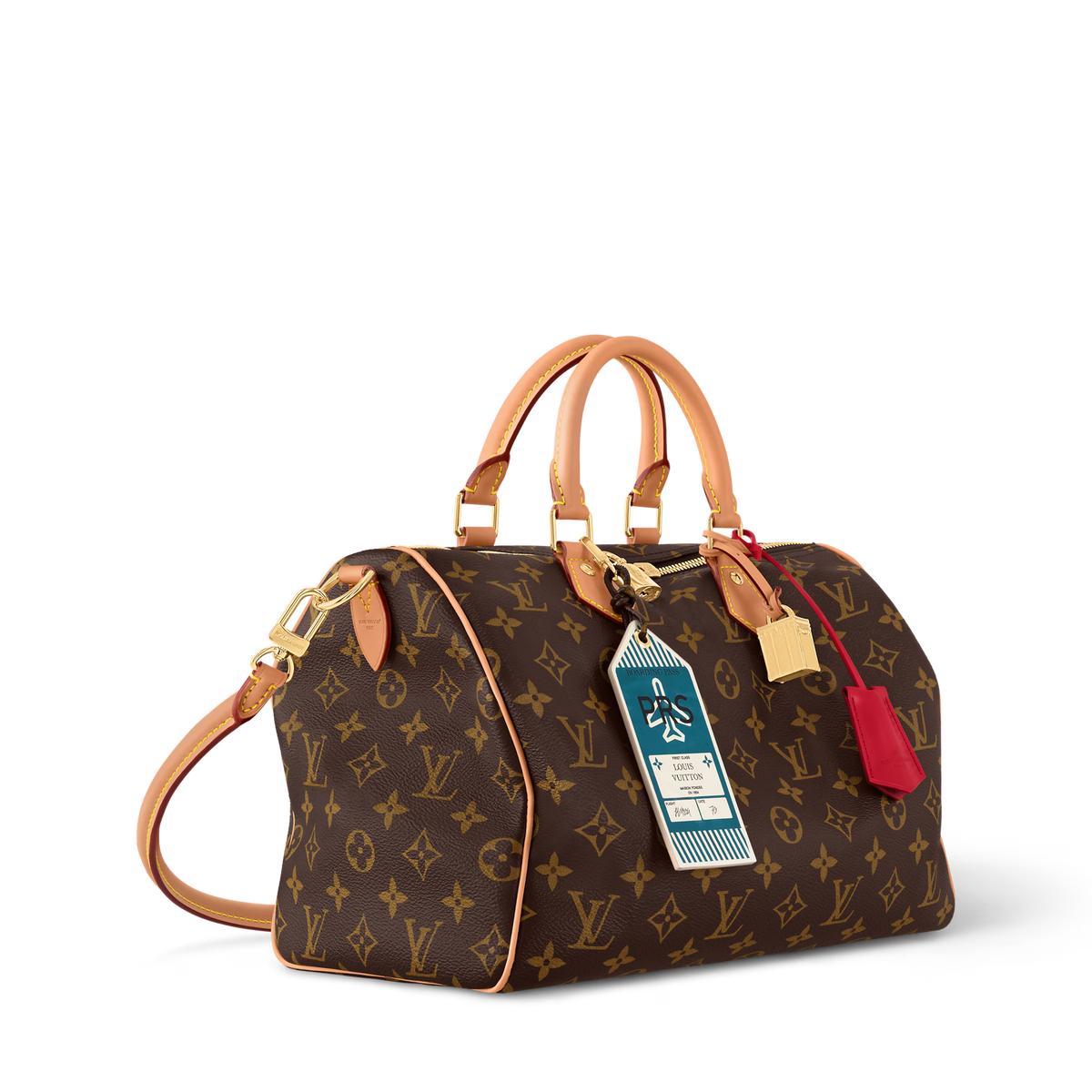 Louis Vuitton Speedy Soft 30 Crafty