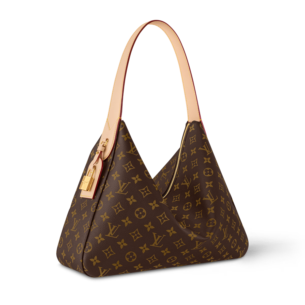 Louis Vuitton Slouchy MM Bag
