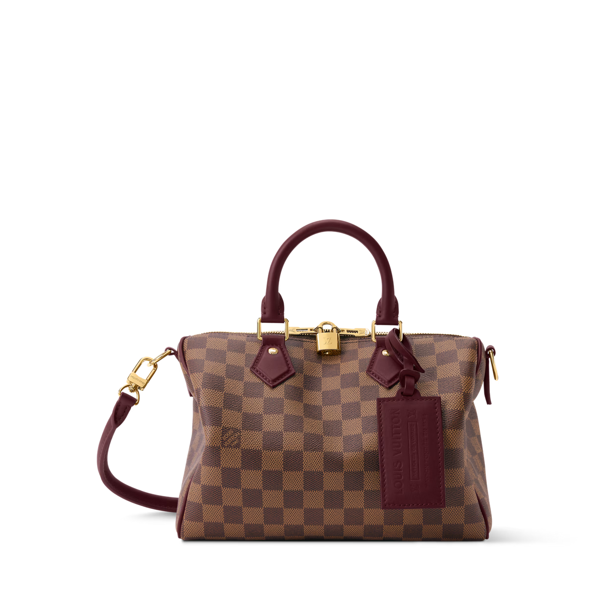 Louis Vuitton Speedy Soft 25